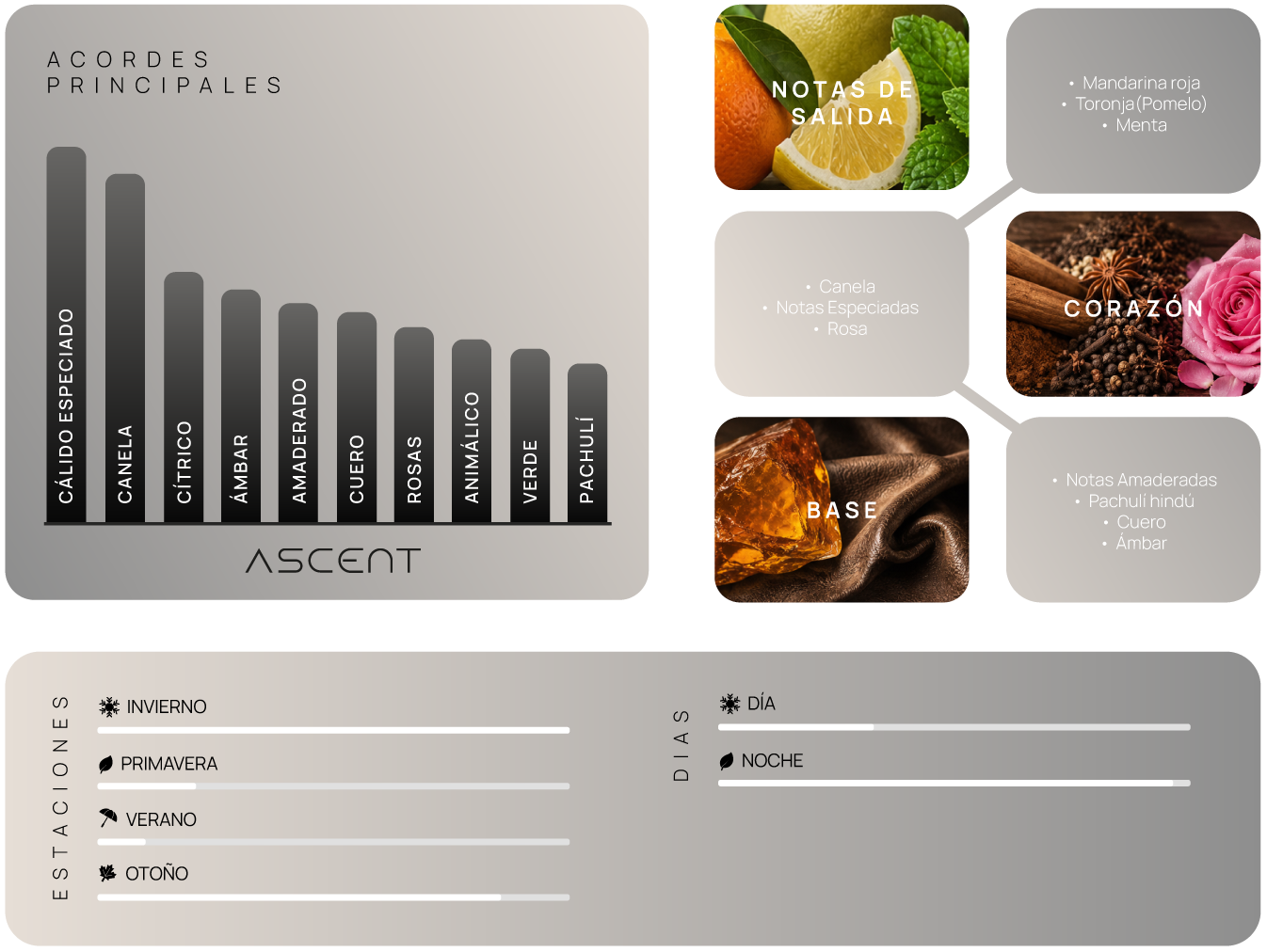 Pirámide olfativa de Ascent: acordes principales, notas de salida, corazón y base